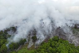 BPBA tekankan kesiapsiagaan bencana hidrometeorologi mulai dari desa