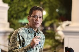 Presiden Prabowo siapkan insentif tarik dana dolar ke Indonesia