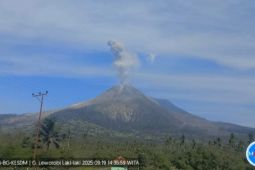 Gunung Lewotobi Laki-laki melontarkan abu setinggi 1.000 meter