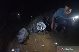 Ikan-ikan mati di Sungai Cikembang Manonjaya, begini respon DLH Tasikmalaya