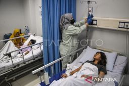 Dinkes Kaltim wajibkan pemeriksaan dini NS1, cegah kematian DBD