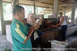 Pasaman Barat salurkan 2.925 dosis vaksinasi PMK