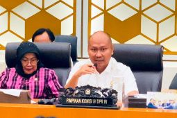 Anggota DPR RI pastikan stok dan distribusi BBM subsidi untuk petani dan nelayan cukup
