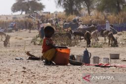 Mensos Sudan: RSF bunuh 300 perempuan di El-Fasher