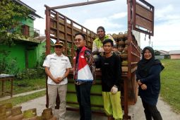 Wabup Belitung minta pangkalan elpiji tiga kilogram prioritaskan masyarakat sekitar