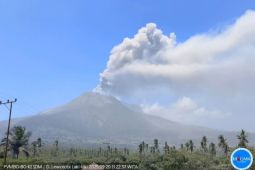 Gunung Lewotobi Laki-laki erupsi tujuh kali dalam enam jam
