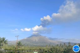 Gunung Lewotobi Laki-laki erupsi enam kali pada Sabtu