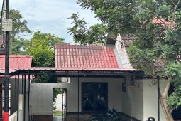 BKSDA Batam tangani 8 laporan kera ekor panjang yang masuk pemukiman