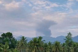 Dukono lontarkan abu vulkanik hingga 800 meter