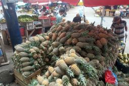 Pedagang buah Lampung sukses kembangkan usaha berkat KUR BRI