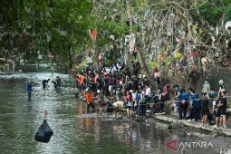 Mencegah banjir berulang Pulau Dewata