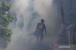 Kasus DBD di Jakbar jadi yang tertinggi di DKI Jakarta