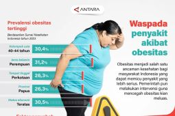 Hati-hati penyakit akibat obesitas