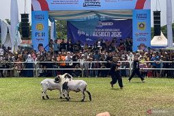 Kontes domba hingga Inovasi alat tani warnai Hari Peternakan ke-189 di Bogor