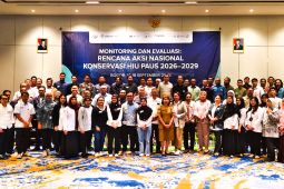 Perlindungan hiu paus jaga ekosistem laut dan pangan biru