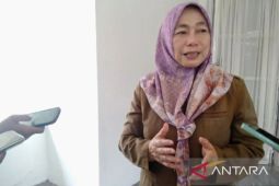 Tingginya investasi masuk di Karawang kurang pengaruhi serapan tenaga kerja