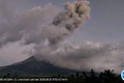 Gunung Lewotobi Laki-laki 19 kali erupsi dalam enam jam pada Minggu