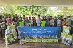 DSLNG gelar pelatihan analisis usaha pertanian jagung dan kesadaran keselamatan petani