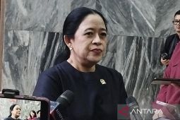 Puan: Perlu kajian mendalam sebelum IKN disebut Ibu Kota Politik
