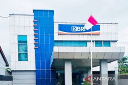 BRI Batulicin tegaskan komitmen terapkan prinsip zero tolerance to fraud