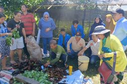 Faperta Untad latih petani kakao olah limbah jadi pupuk organik