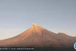 Gunung Semeru erupsi tinggi letusan 700 meter