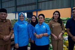 Sidak ke gudang  Bulog  Ternate, DPR  temukan beras tidak layak