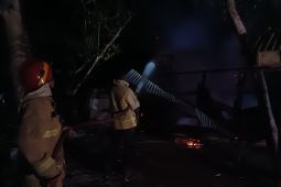 BPBD imbau masyarakat Aceh Besar waspada Kebakaran