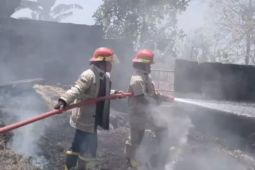 Sebanyak 78 kasus kebakaran di Lombok Timur hingga September 2025