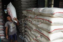 Harga beras medium turun jadi Rp13.731 per kilogram