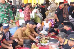 Wakil Bupati Lampung Tengah hadiri kirab budaya HUT ke -68 Dusun Sriwaluyo II