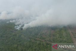 Karhutla di Aceh Barat semakin meluas, bertambah menjadi 19,8 Ha