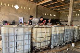 Polda Bengkulu bongkar aksi penimbunan BBM bersubsidi