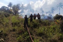 Disdamkarmat Natuna berhasil padamkan kebakaran lahan seluas 8 hektare