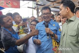 DKP Papua sebut rumput laut menjadi potensi ekspor baru