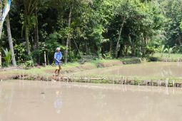 Reforma Agraria hidupkan potensi Desa Bandung, dari semak belukar jadi sumber ekonomi masyarakat