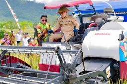 Pemkab Banggai upaya dorong kemandirian pangan lewat program strategis