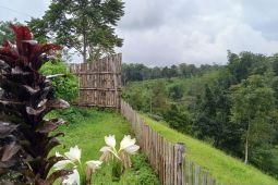 Kemenhut: Perhutanan sosial prioritaskan kelestarian dan kesejahteraan
