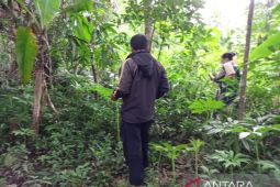 DLH Sulsel: Perhutanan sosial berikan akses legal bagi masyarakat