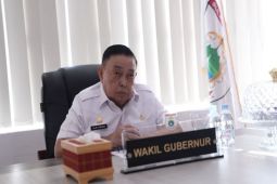 Wagub meluncurkan Satgas Swasembada Pangan Sulbar