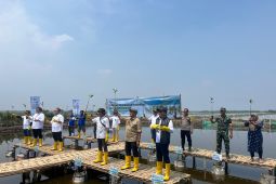 Pelindo usung konsep Pelabuhan Hijau