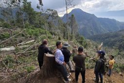 Polres Aceh Tengah tangkap kades terkait perambahan hutan lindung Bur Kelieten
