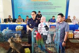 Tiga hewan barang bukti penyelundupan satwa di Aceh mati