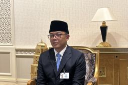 Prabowo minta Trump pimpin penyelesaian perang di Gaza