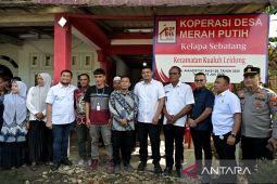Gubernur Sumut: Bisnis Kopdes Merah Putih  Kelapa Sebatang potensial