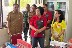 Pemkab Gumas gencar kampanyekan Gerakan Bumil Sehat