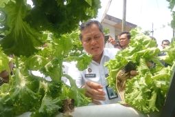 Lapas Jambi canangkan sentra ketahanan pangan jadi wadah asimilasi WBP