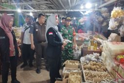 Wabup pantau harga dan stok bahan pokok di pasar Terminal Toboali Bangka Selatan