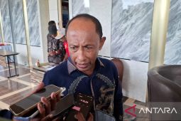 Papua Barat Daya komitmen jalankan transisi energi