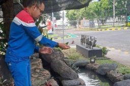 Pertamina Patra Niaga RJBB dukung pemanfaatan limbah daun sirih dan konservasi ikan toman